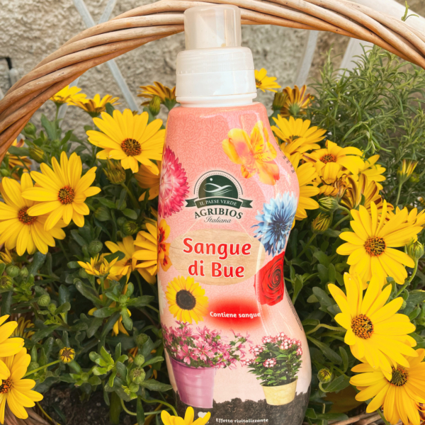 concime liquido sangue di bue