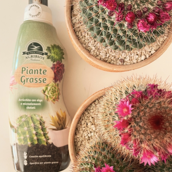 concime liquido biologico piante grasse